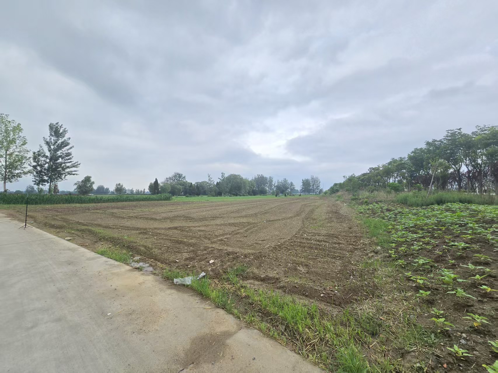 西三环与拂晓大道西2亩地出租